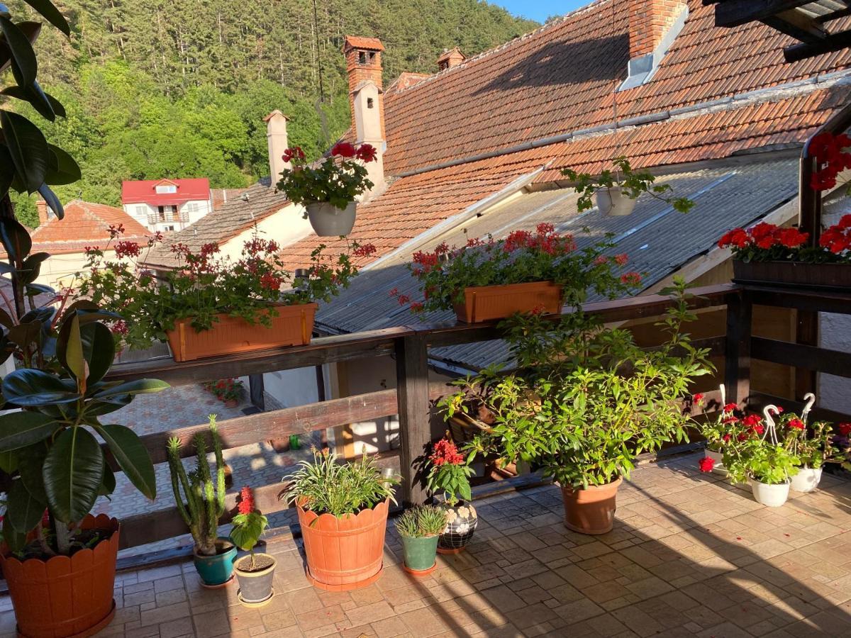 Victoria Gasthaus Rasnov - Charming Vacation House In Rasnov Kültér fotó