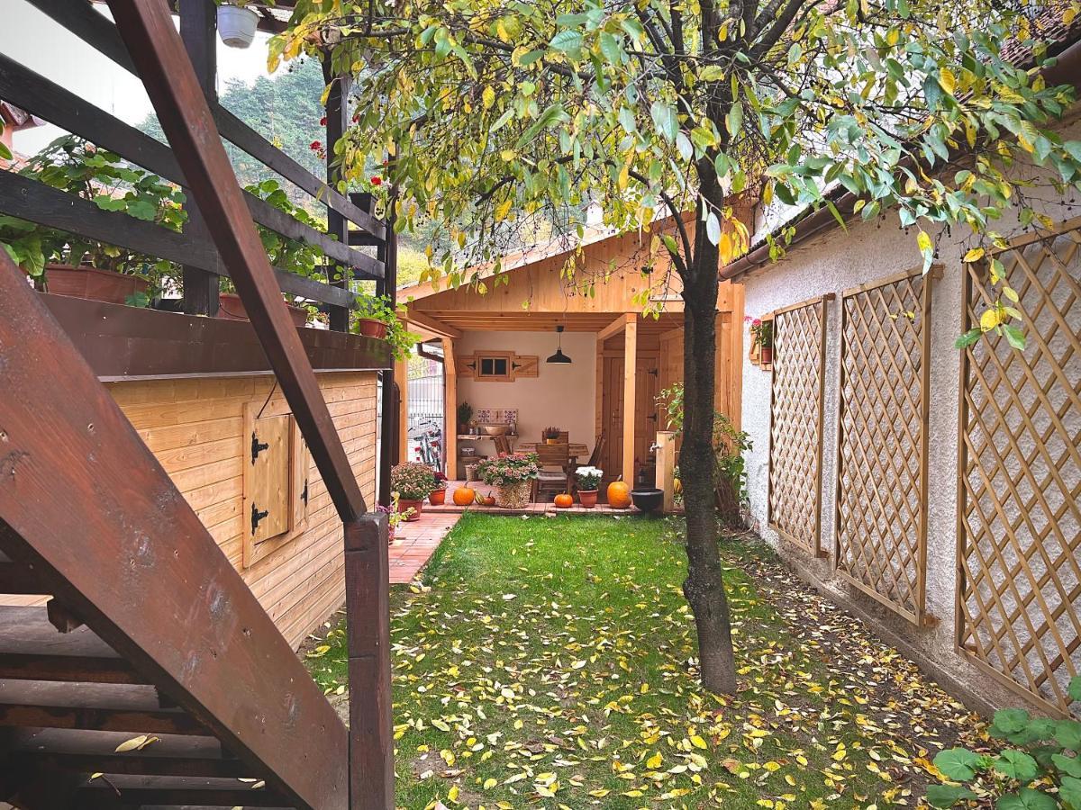 Victoria Gasthaus Rasnov - Charming Vacation House In Rasnov Kültér fotó