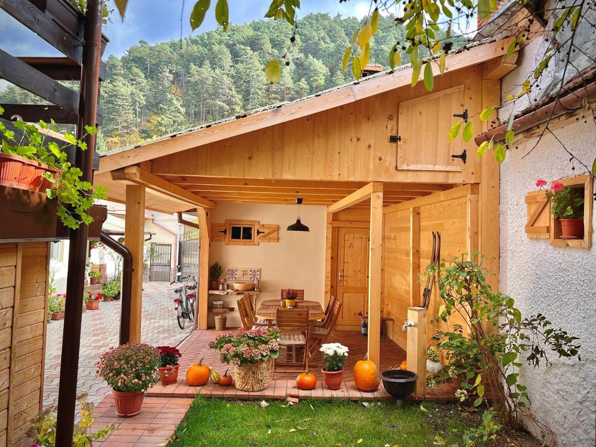 Victoria Gasthaus Rasnov - Charming Vacation House In Rasnov Kültér fotó