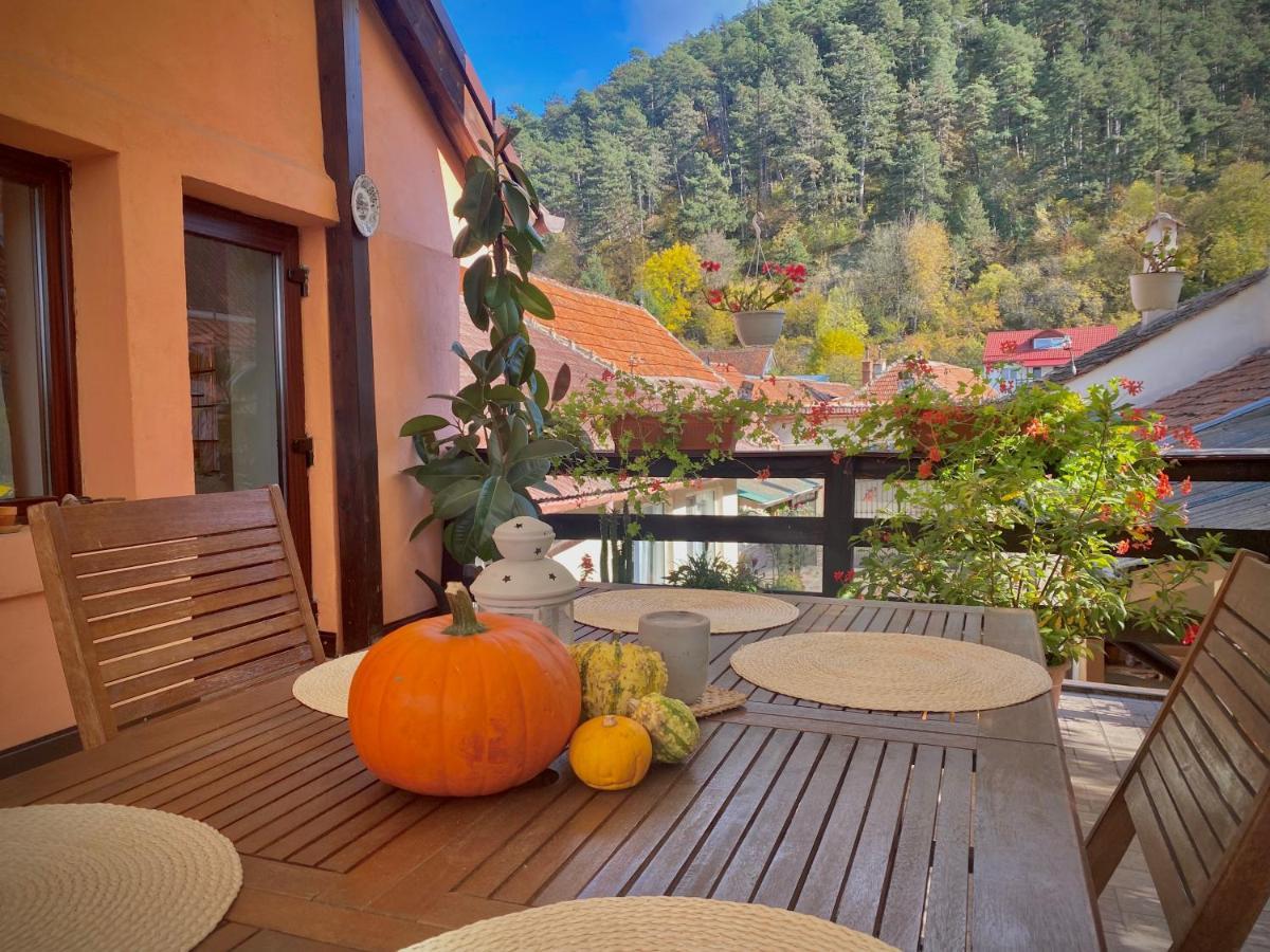 Victoria Gasthaus Rasnov - Charming Vacation House In Rasnov Kültér fotó