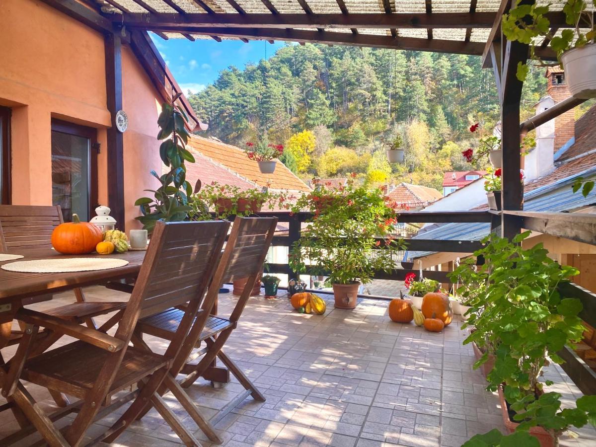 Victoria Gasthaus Rasnov - Charming Vacation House In Rasnov Kültér fotó